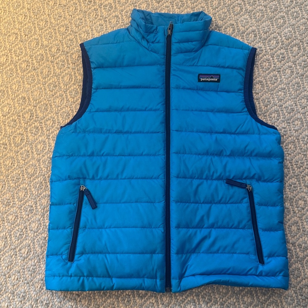 Patagonia Vibrant Blue Quilted Vest